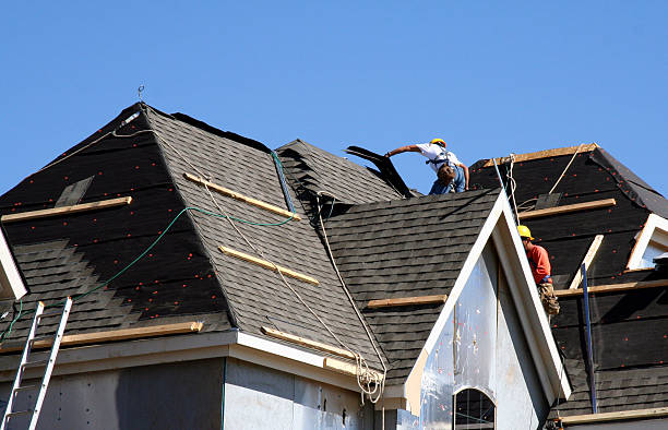 Best Roof Repair Services  in Inesville, GA