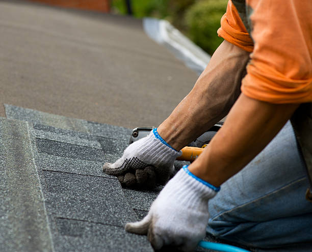 Best Sealant for Roof  in Inesville, GA