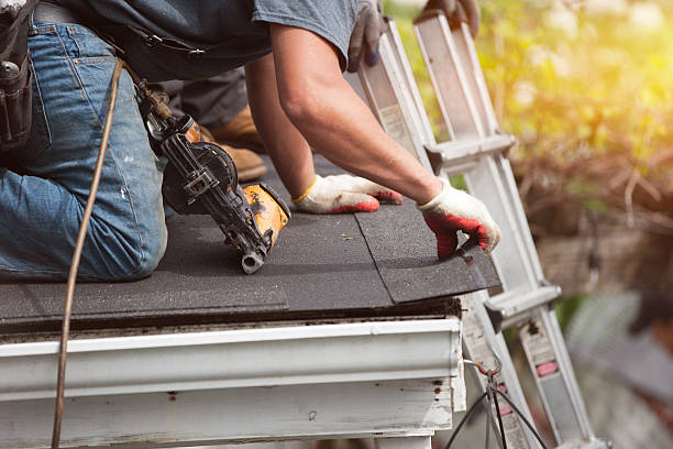 Best Shingle Roofing Installation  in Inesville, GA