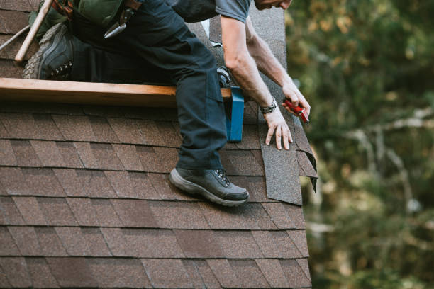 Best Gutter Installation and Roofing  in Inesville, GA