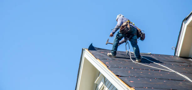 Best Commercial Roofing Services  in Inesville, GA