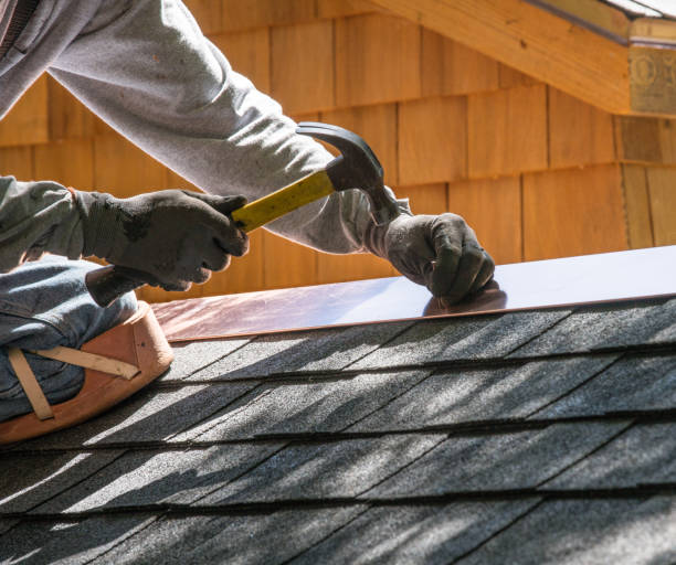 Best Storm Damage Roof Repair  in Inesville, GA